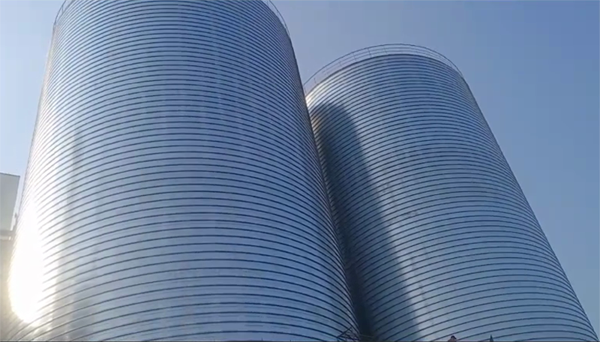 东方2座混凝土高架卷板仓